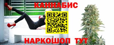 стаф Гатчина
