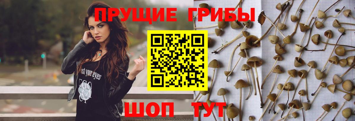Муравленко  Галлюциногенные грибы мицелий  Псилоцибиновые грибы мицелий  Вход с VPN 