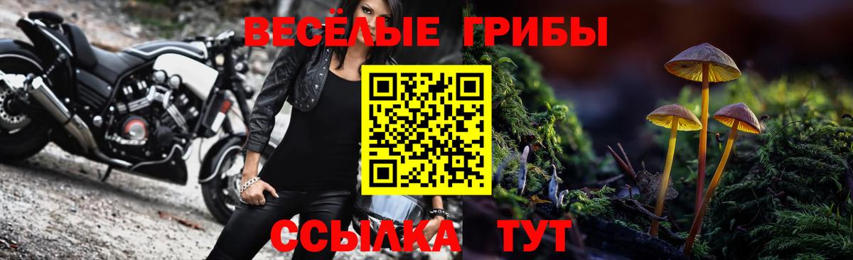 Галлюциногенные грибы Муравленко